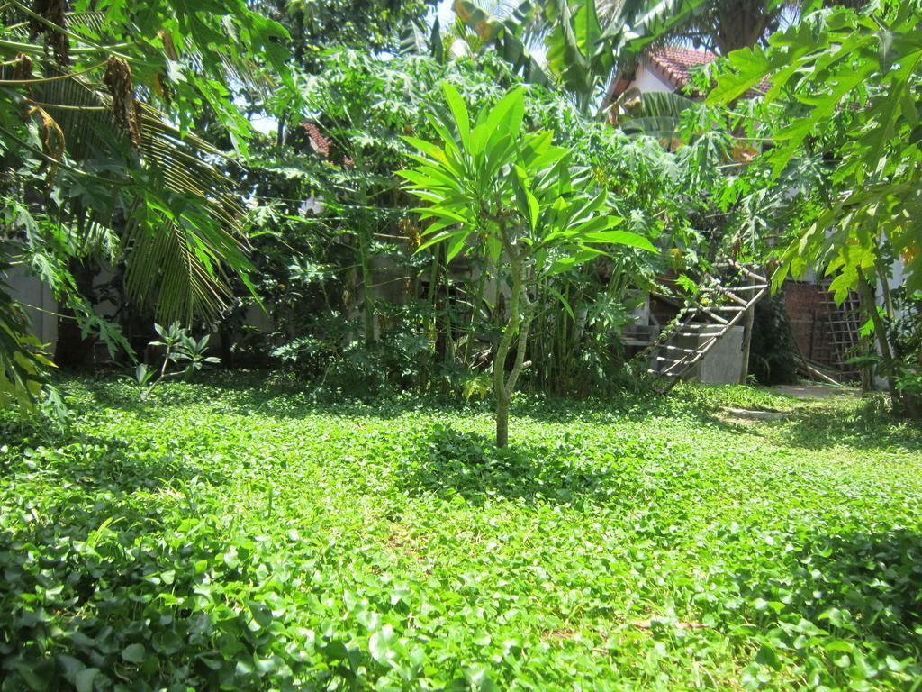 Local Beach Homestay Hoi An Luaran gambar