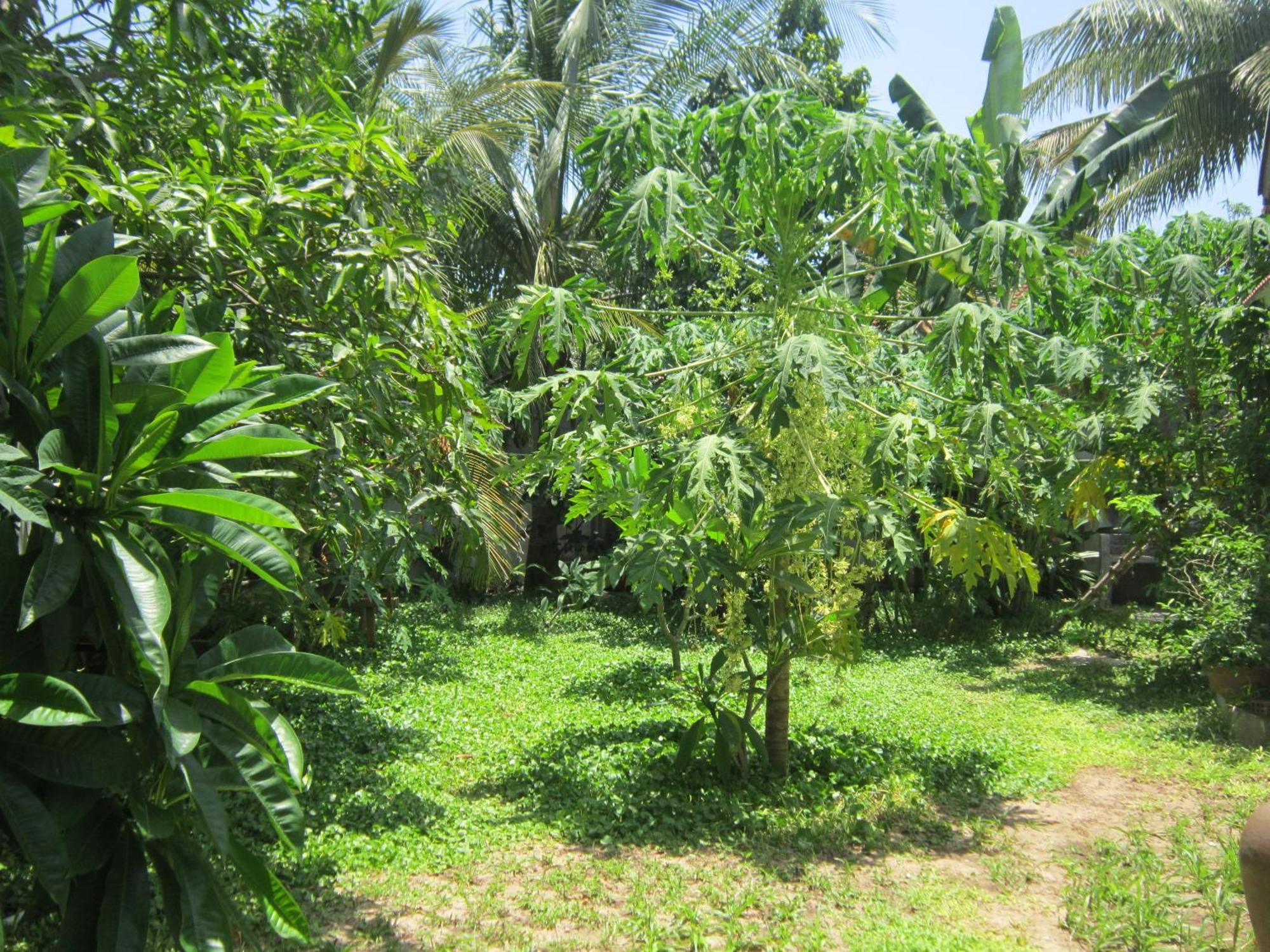 Local Beach Homestay Hoi An Luaran gambar